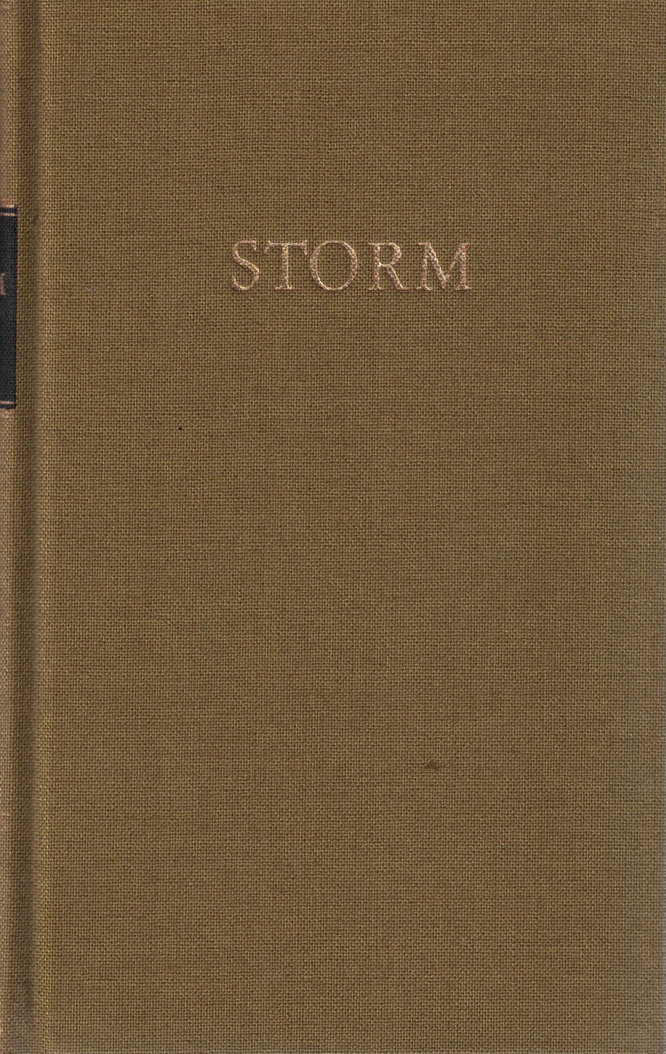 Storm Werke in zwei Bänden
