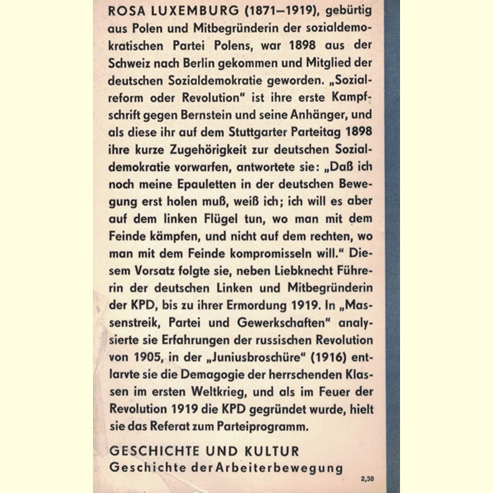 Rosa Luxemburg - Politische Schriften
