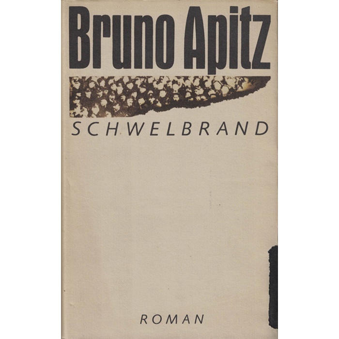 Bruno Apitz, Schwelbrand - Roman